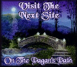Visit the next site in                          the webring.